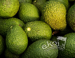 Awokado Hass ekologiczne 2 szt. Import