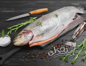 Pstrąg tęczowy patroszony Chomfish