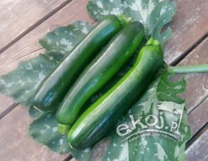 Cukinia mini BIO ok. 500g Gospodarstwo Kwiatkowscy