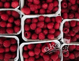 Maliny ok. 500g Gospodarstwo Rolne Robertus van de Mortel