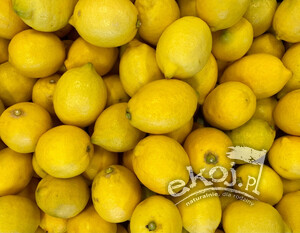 EKOKARTON Cytryny świeże BIO 6kg Import