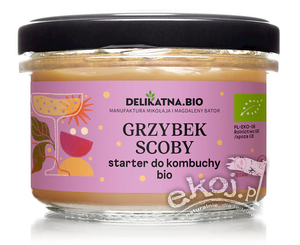 Grzybek scoby starter do kombuchy BIO 150g Delikatna