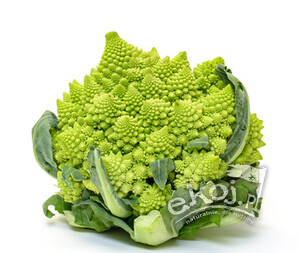 Kalafior Romanesco BIO 1 szt. Polska