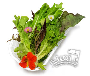 Sałata mix z kwiatami jadalnymi BIO 100g Polska