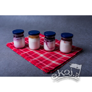 Jogurt kozi z maliną 175g Sery Łomnickie