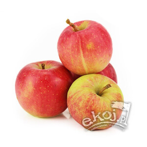 EKOKARTON Jabłka BIO na sok 5 kg Polska
