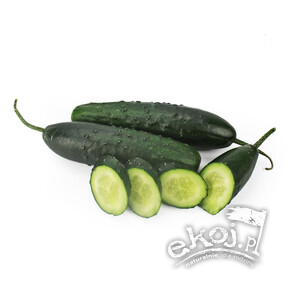 Ogórek krótki świeży BIO ok. 500g