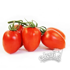 Pomidory Datterino BIO ok. 250g Import