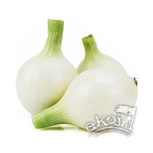 Cebula biała cukrowa BIO 500g Polska